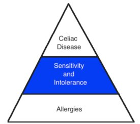 Gluten Sensitivity and Intolerance Pyramid Picture