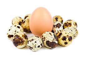 eggs3