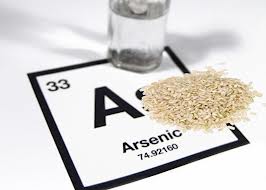 arsenic in rice