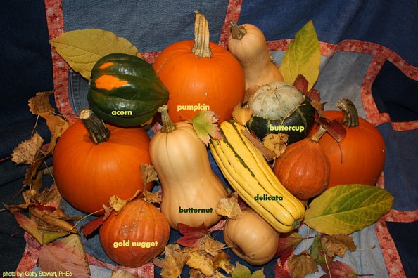 Фото из Home&Family